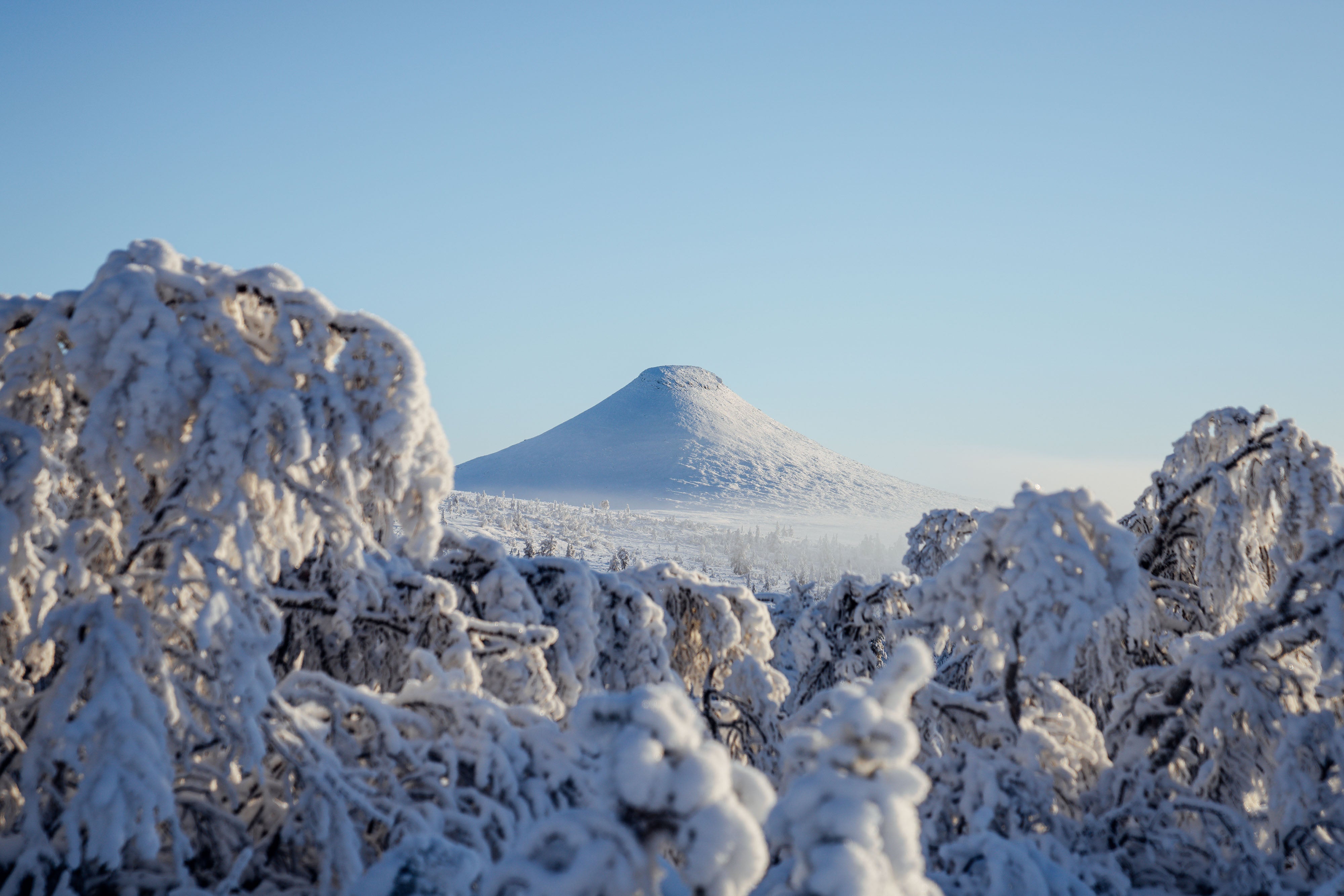 Vinter