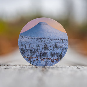 Renar och Städjan vinter – Glasunderlägg