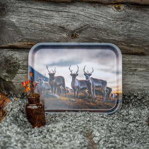 Renar på fjället - Bricka 36x28 cm