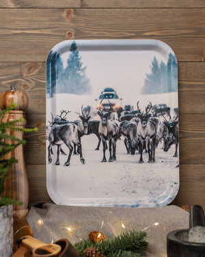 Renar på väg - Bricka 36x28 cm