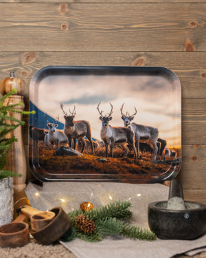 Renar på fjället - Bricka 36x28 cm