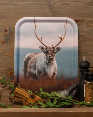 Ståtlig ren - Bricka 36x28 cm