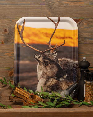 Närbild ren - Bricka 36x28 cm