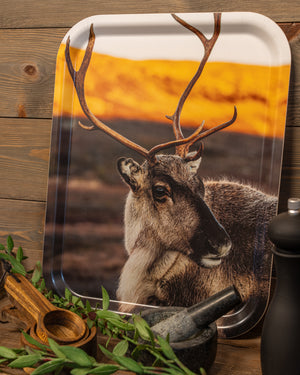 Närbild ren - Bricka 36x28 cm