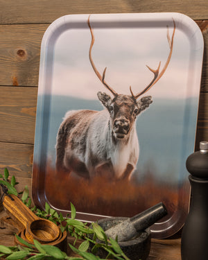 Ståtlig ren - Bricka 36x28 cm