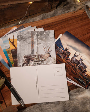 10 st vykort renmotiv