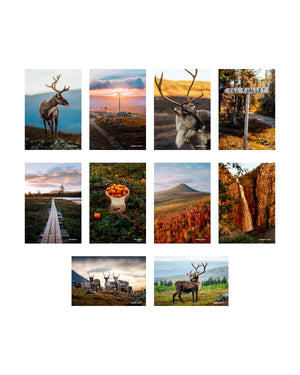 10 st vykort sommarmotiv