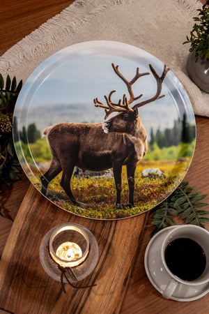 Ren med vackra horn - Bricka 31 cm