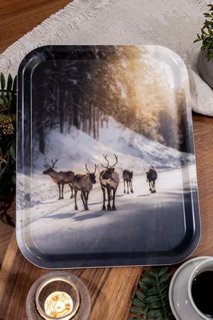 Renar i vinterljus - Bricka 36x28 cm