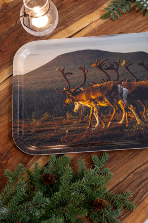 Renar mot Städjan - Bricka 36x28 cm