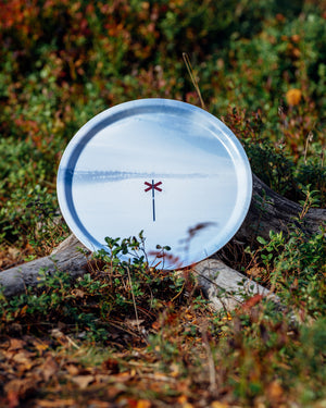 Städjan ledkryss - Bricka 31 cm