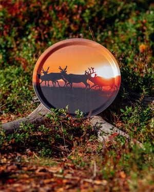 Renar i soluppgången - Bricka 31 cm