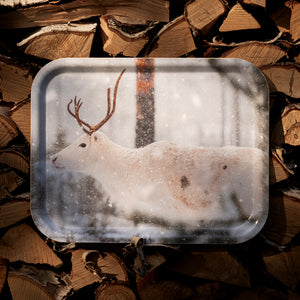 Ren i snön - Bricka 36x28 cm