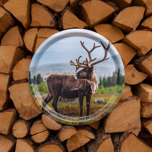 Ren med vackra horn - Bricka 31 cm