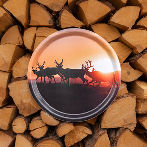 Renar i soluppgången - Bricka 31 cm