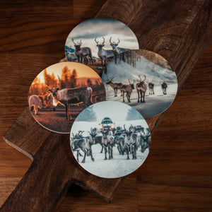 Glasunderlägg Renar