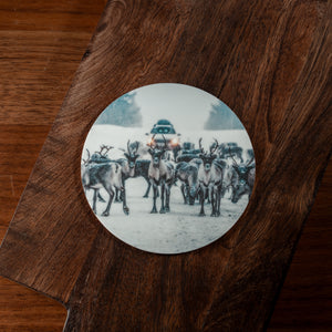 Glasunderlägg Renar