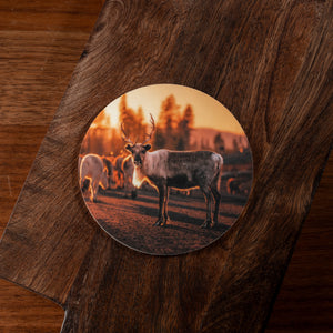 Glasunderlägg Renar