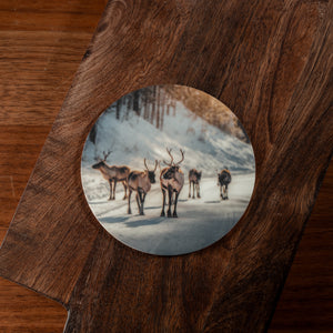 Glasunderlägg Renar