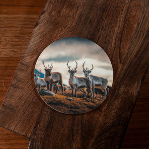 Glasunderlägg Renar