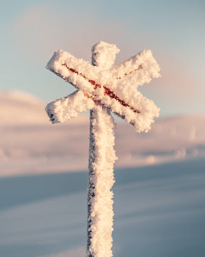 Canvas Frostigt ledkryss