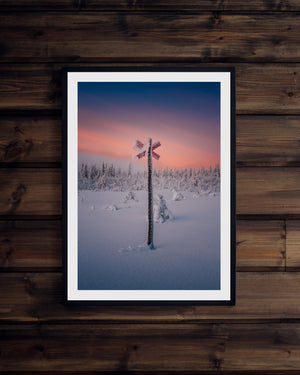 Snöklätt ledkryss Nipfjället