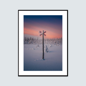 Snöklätt ledkryss Nipfjället