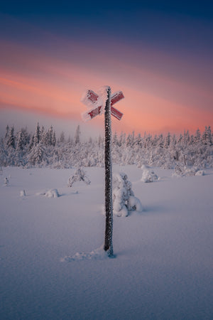 Snöklätt ledkryss Nipfjället