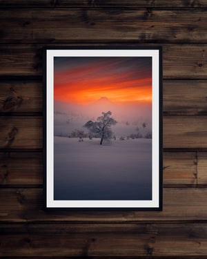 Snöklätt träd med Städjan