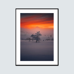 Snöklätt träd med Städjan