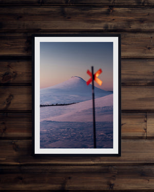 Städjan och Ledkryss