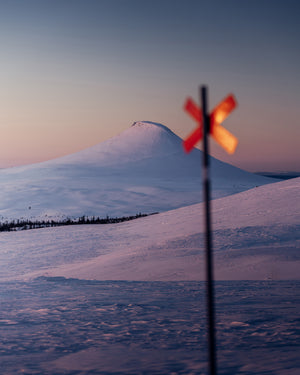 Städjan och Ledkryss