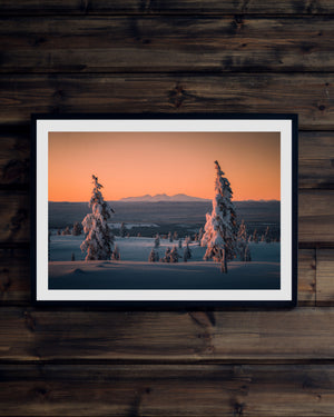 Två träd Rendalssölen