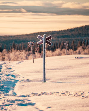 Vinterklätt ledkryss