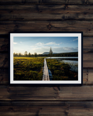 Gränjestjärn och Nipfjället