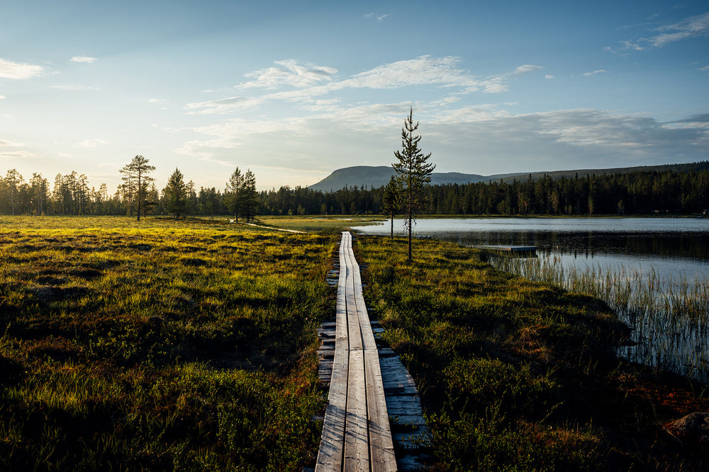 Gränjestjärn och Nipfjället