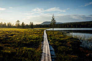 Gränjestjärn och Nipfjället