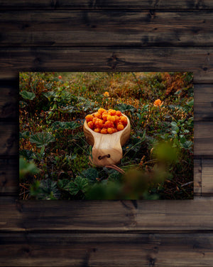 Canvas Hjortronkåsa (liggande)