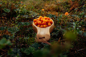 Canvas Hjortronkåsa (liggande)