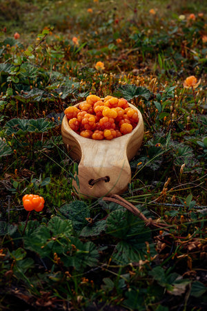 Canvas Hjortronkåsa (stående)