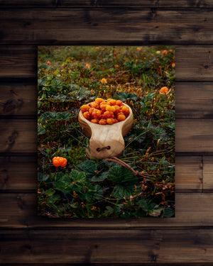 Canvas Hjortronkåsa (stående)