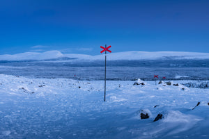 Ledkryss blå timmen