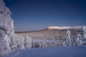 Nipfjället från Idre Fjäll