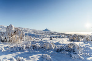 Nipfjället mot Städjan