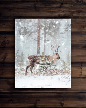 Canvas Ren i snön