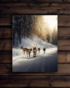 Canvas Renar i vinterljus