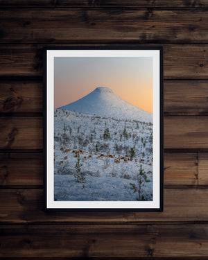 Renar och Städjan vinter