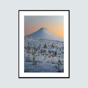 Renar och Städjan vinter