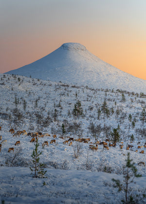 Renar och Städjan vinter