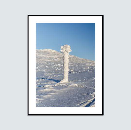 Snöklätt Ledkryss